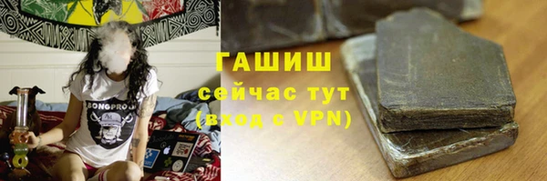 гидра Елизово