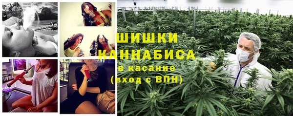 гидра Елизово