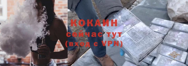 гидра Елизово