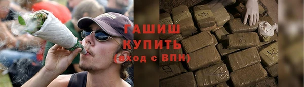 гидра Елизово