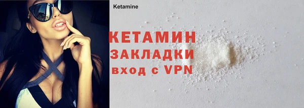 гидра Елизово