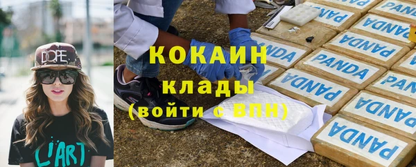 гидра Елизово