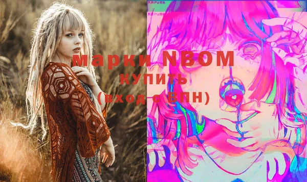 гидра Елизово