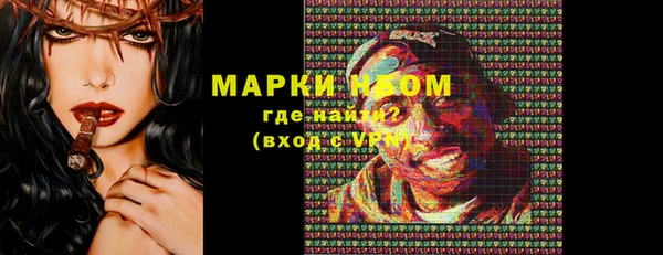 гидра Елизово