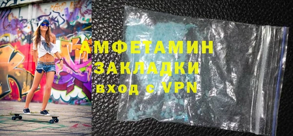 гидра Елизово