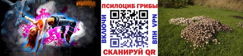 Галлюциногенные грибы Psilocybine cubensis  закладка  Власиха 